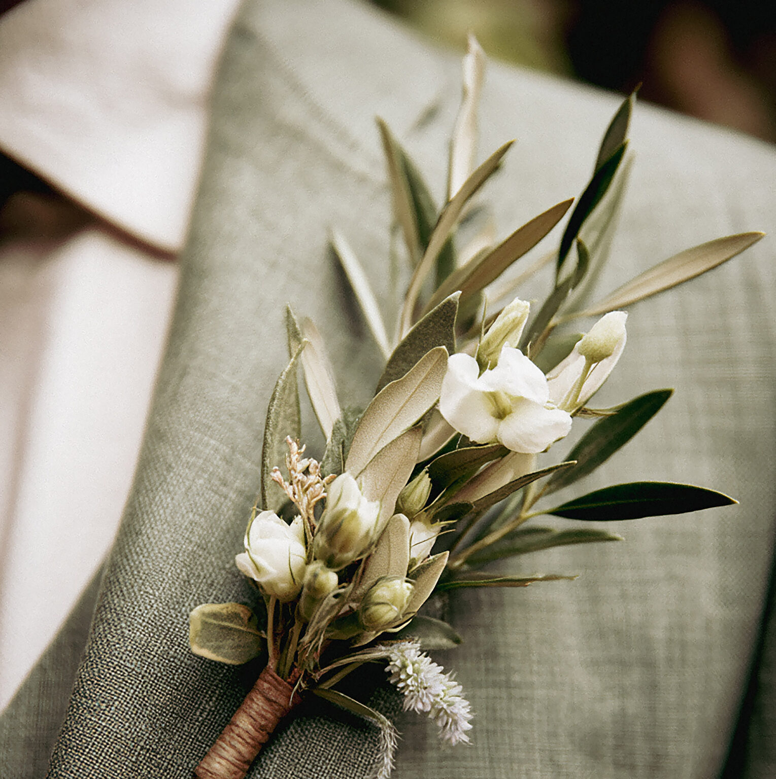 Boutonnière blanche et feuillage d'olivier posé sur un revers de costume vert clair